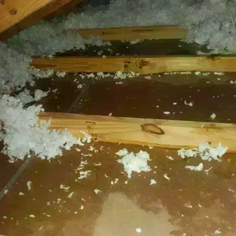 Attic Water Damage in Pauls Valley, OK